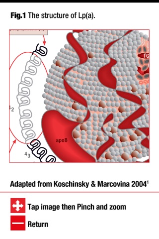 Lipoprotein(a), Atherosclerosis & Cardiovascular Disease Clinician's Handbook screenshot 3