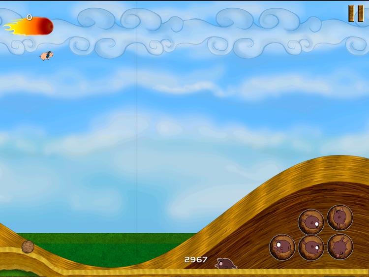 Rocket Pig - Piggie with Birds on Happy Farm Days - Cool Fun Adventure Arcade Game - HD FREE screenshot-4