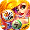 A Bingo Game HD Pro