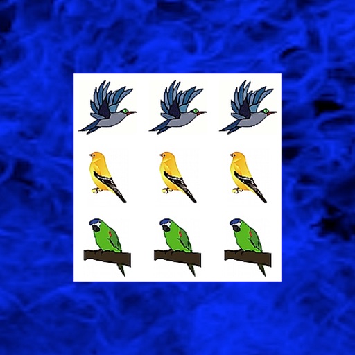 BirdSpin icon