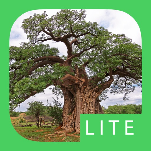 eTrees of Southern Africa LITE icon