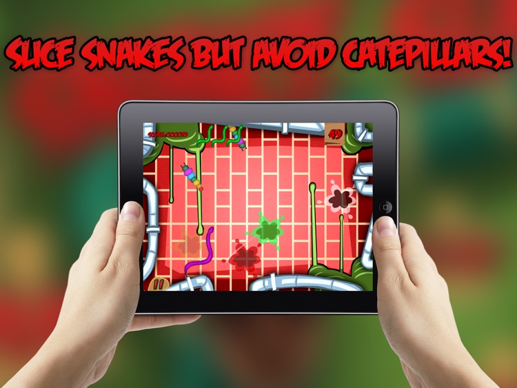 Snake Slash HD Free: Cut and Slice snakes but avoid catepillars and ladybugs adventure game