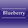 Blueberry Nursery