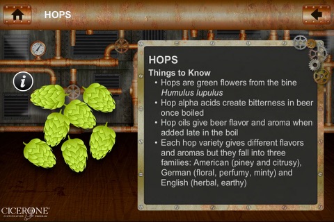 Brewing Process screenshot 4