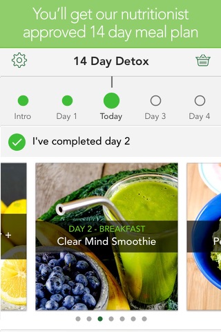 14 Day Detox including meal plan and cleansing guides screenshot 2