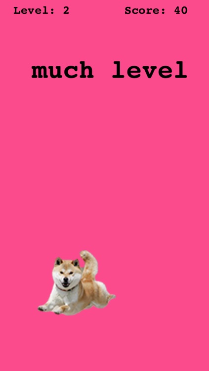 doge game