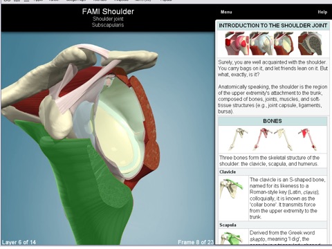 Functional Anatomy for Movement and Injuries: Shoulder screenshot 3
