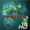 Ant Smasher HD