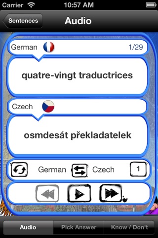 Mobilní Učitel - Výuka Francouzštiny screenshot 4