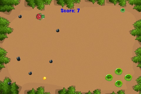Turtle Time Bomb Run - Speedy Animal Survival Game Paid screenshot 4