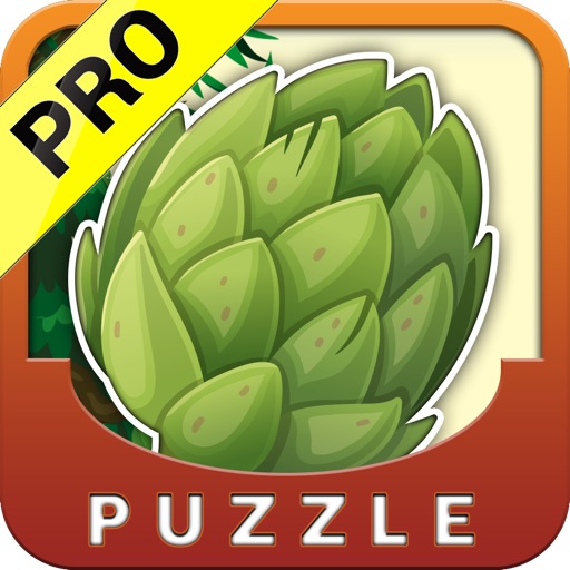Ace Veggie Patch Match PRO - Brain Game of Skill iOS App