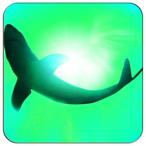 AAA Shark In The Line - A Great Shark Entertainment Game For Kids,Boys & Girls Free iOS App