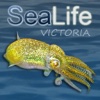 Sea Life Victoria - Marine Identification Guide Vic, Australia