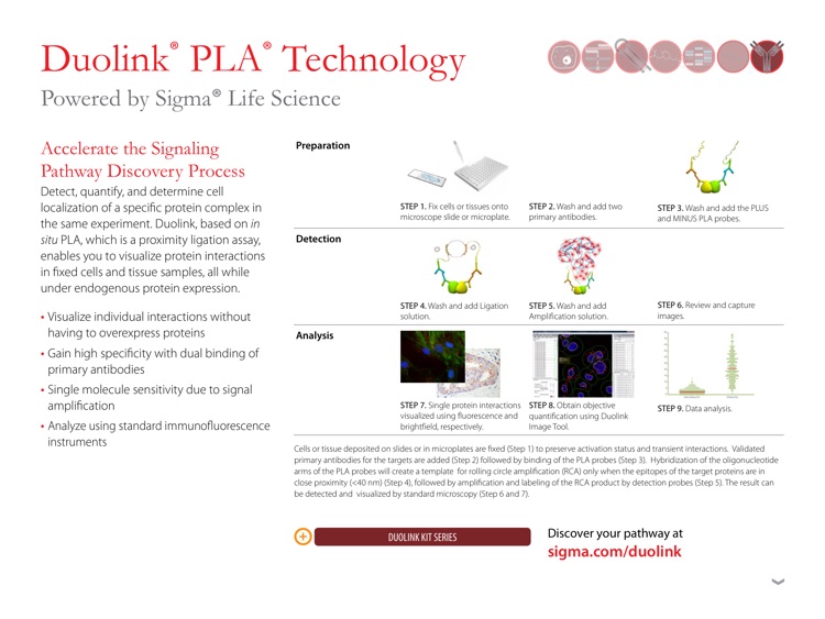Biofiles: Screen with Confidence by Sigma-Aldrich