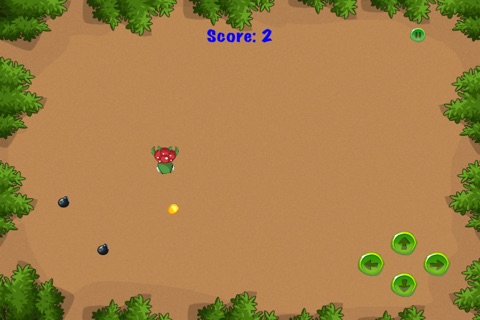 Turtle Time Bomb Run - Speedy Animal Survival Game Free screenshot 3