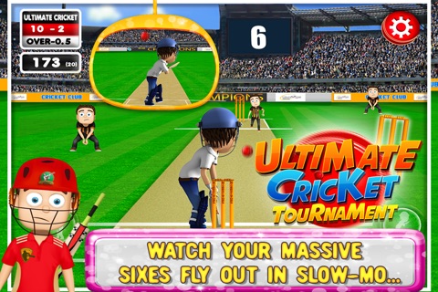 Ultimate Cricket Tournament screenshot 3