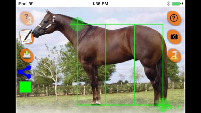 Horse Conformation(圖1)-速報App