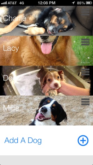 Paw Tracks - dog walking pet tracker for groups and friends(圖3)-速報App