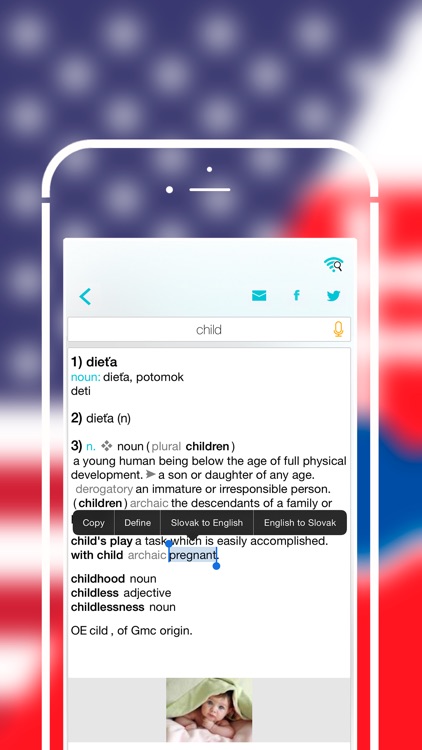 Offline Slovak to English Language Dictionary screenshot-4