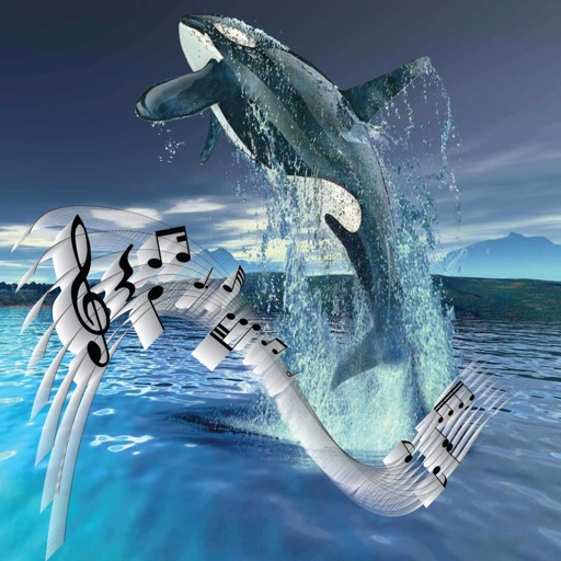 Play with Whales iOS App