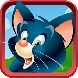 Kitty Cat Match - Connect Three Animal Puzzle Fun