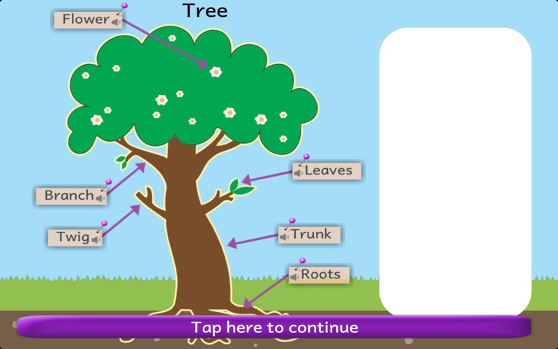 Naming Plant and Animal Parts thumbnail 3