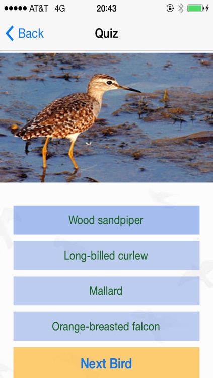 Bird Watching Guide & Identification screenshot-4