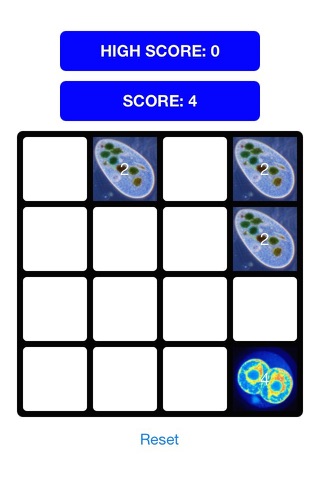evolve - Puzzle Game screenshot 4