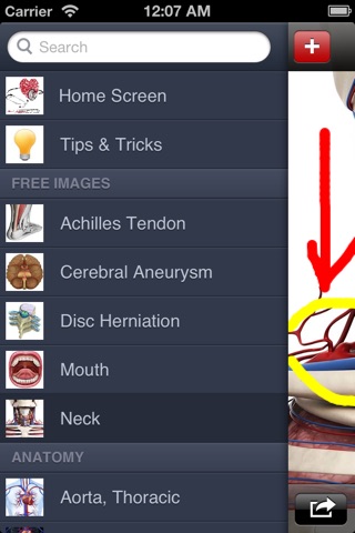Med Sketch Lite: Anatomy Drawing App screenshot 3