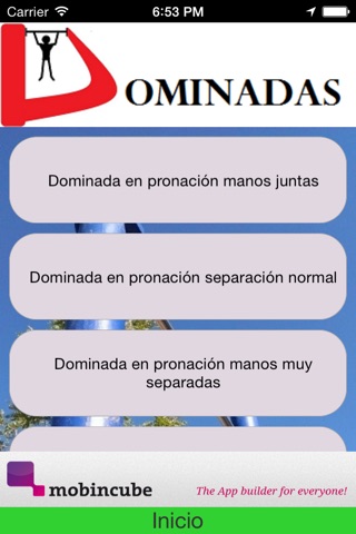 Dominadas screenshot 3