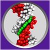 Molecule World DNA Binding Lab