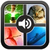 Guess the sound. Great puzzle and word game.150 sounds 400 photos and pics.
