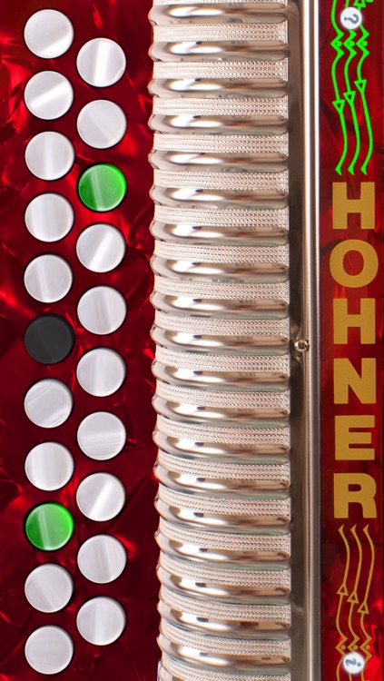 Hohner-B/C Mini Button Accordion