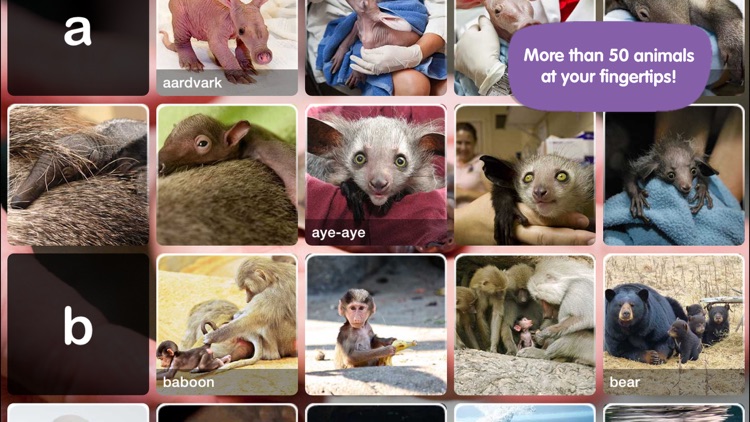 ABC ZooBorns