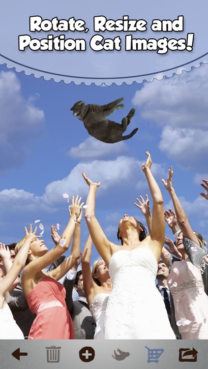 Brides Throwing Cats - The Best Wedding Planner Photos Featuring Flying Cat and Kitten Bouquets