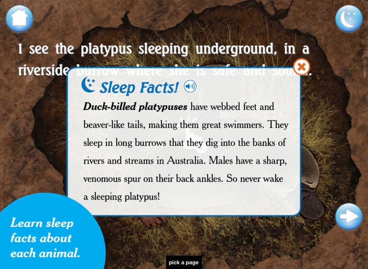 I See the Animals Sleeping: A Bedtime Story screenshot-3