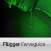 Fargeguide