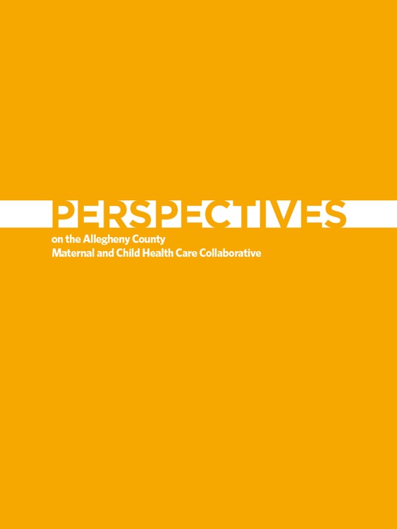 UPMC Healthplan Perspectives Report