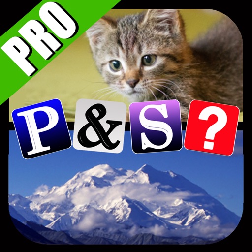 Pics & Synonyms Pro icon