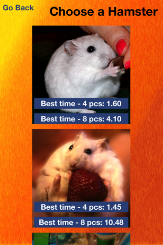 Hamsters And Puzzles screenshot 2