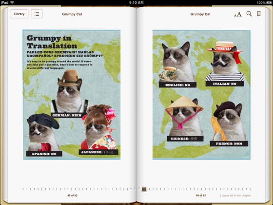 Grumpy Cat A Grumpy Book | 15 Facts About Grumpy Cat – GINPX