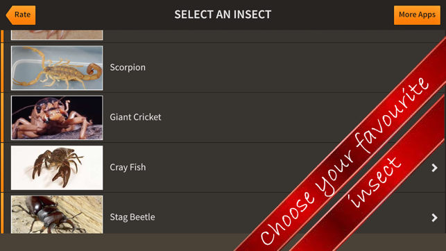 All About Insect(圖2)-速報App