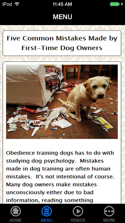 The Untold Secret to Mastering Indoor House Training for Dog in Just 7 Days screenshot-3