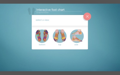 Drag&Drop Reflexology (foot) screenshot 3