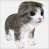 Talking friend. Kitten 3d