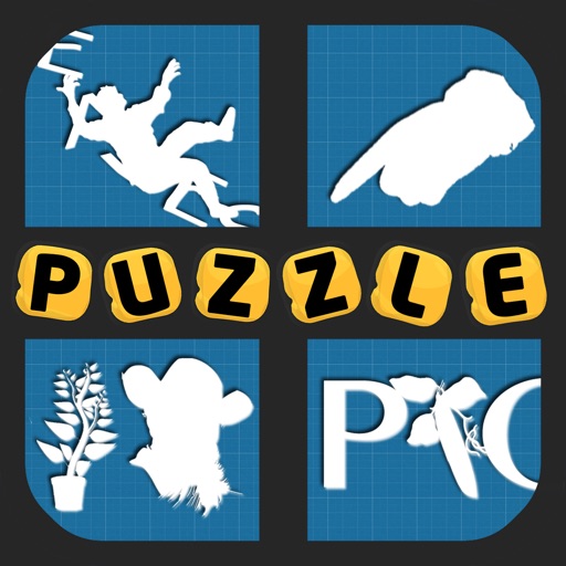 Solve That Puzzle! icon