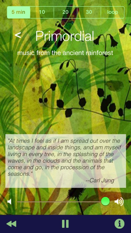 Attunement - music to upgrade your life