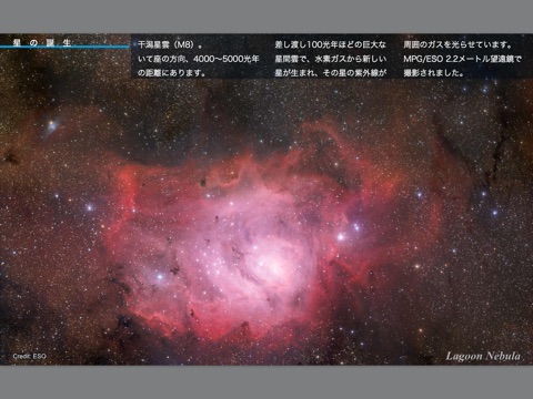 スクリーンショット 1