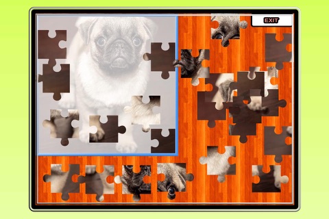 Amazing Photo Puzzle Jigsaw Bundle screenshot 2