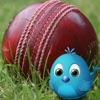 Cricket Players Tweet